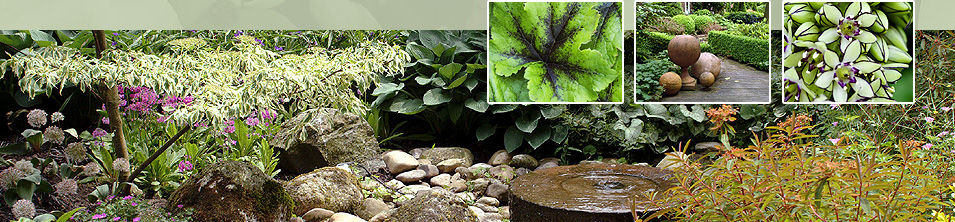 Gr&uuml;ner Garten